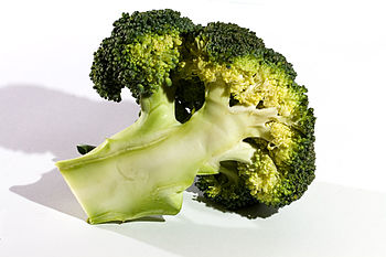 Brocolli, Unknown Cultivar Brocolli, Unknown Cultivar