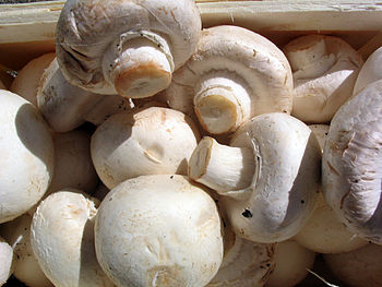 White mushrooms ready for cooking. While commo...