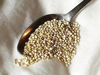 Quinoa is not a grass, but its seeds have been... Quinoa is not a grass, but its seeds have been...