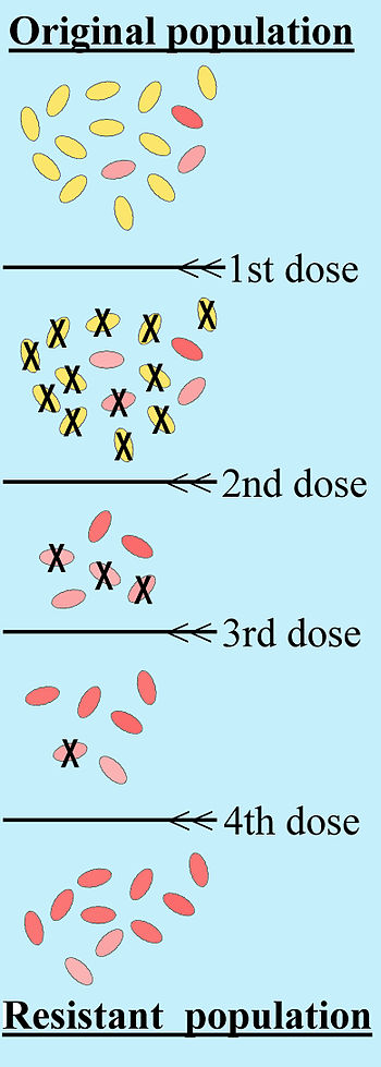 Schematic of the acquisition of antibiotic res...