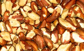Brazil nuts come from a South American tree Brazil nuts come from a South American tree