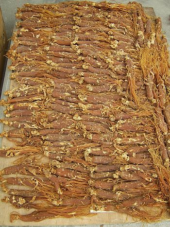 Chinese red ginseng roots Chinese red ginseng roots