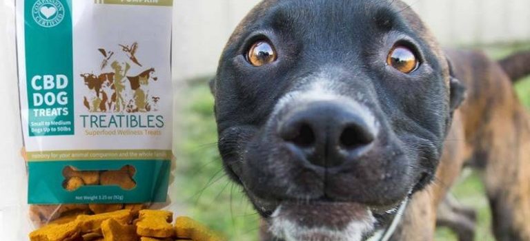 Treatibles_2-768x403