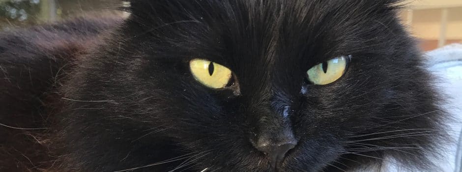 74E77D14-DDC6-4AF3-8E85-55EBA8E202EE