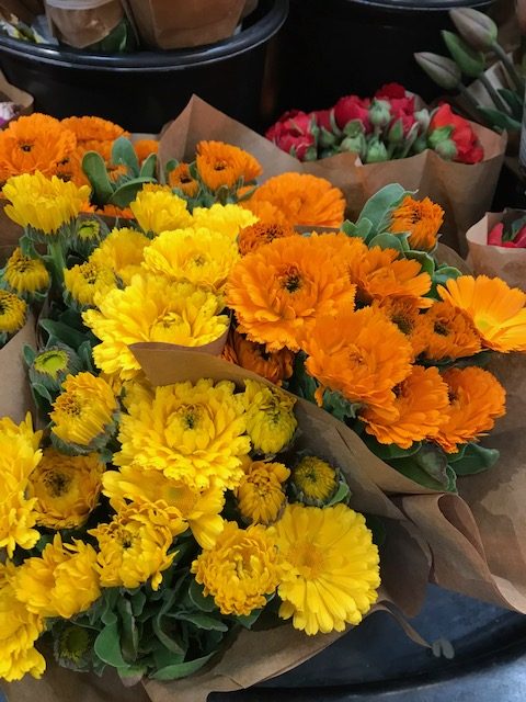 calendula flowers